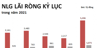 NLG lãi kỷ lục hơn 1,000 tỷ năm 2021, sức khỏe tài chính cải thiện đáng kể